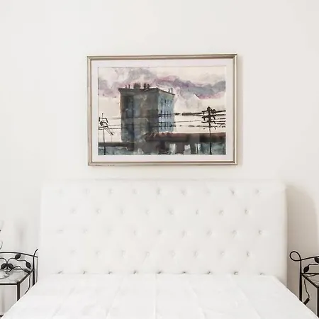 Vatican Large Comfortable *