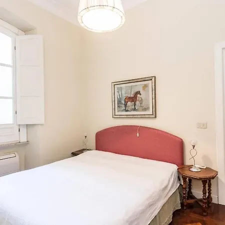 Vatican Large Comfortable *