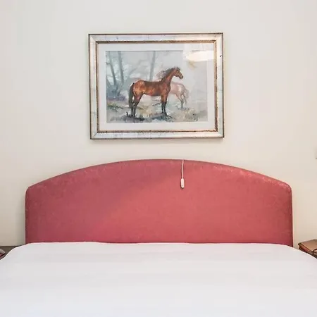 Vatican Large Comfortable Roma